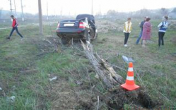  В Волгограде «Приора» снесла дерево