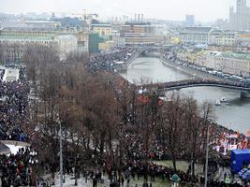 На улицу вышла лучшая часть нашего общества На улицу вышла лучшая часть нашего общества