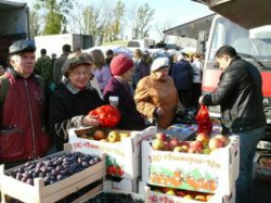 В Волгограде ООО «Областная сельскохозяйственная ярмарка» проиграло дело в суде