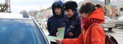 В Волгоградской области сотрудники ДПС провели на дорогах акцию «Нет телефонному мошенничеству!»