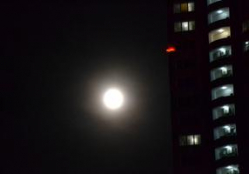 Волгоградцы смогут увидеть лунное затмение
