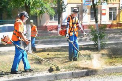 В Ворошиловском районе Волгограда наводят чистоту 