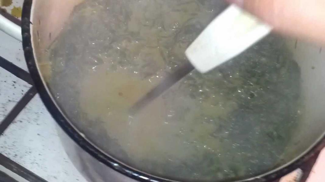 Как варить в молоке коноплю смешные сорта конопли