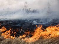 В Волгоградской области бушует крупный ландшафтный пожар