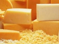 Россельхознадзор: почти 80% сыра в РФ – фальсификат